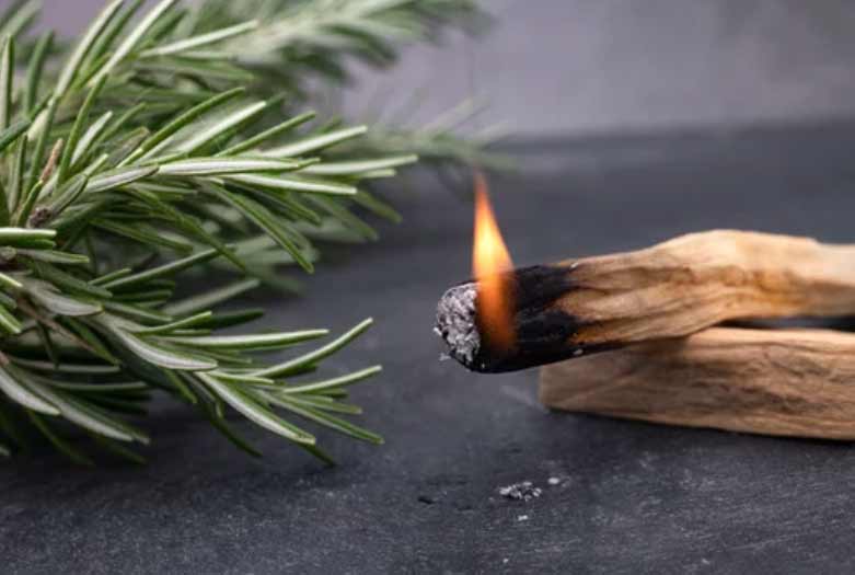 Palo Santo caracteristicas